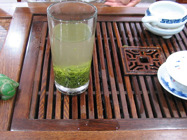 2013年廣義信陽毛尖春茶正式上市